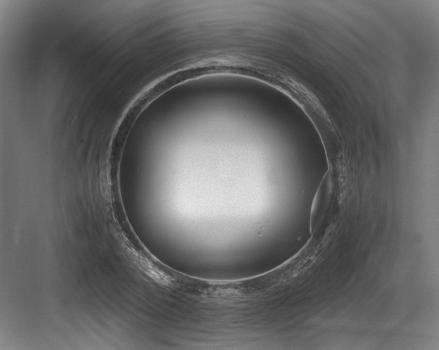 X0000083660784200702121215