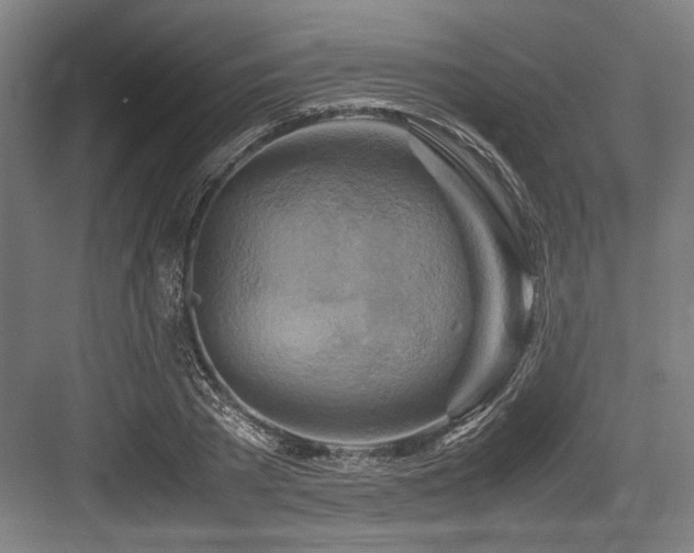 X0000083660785200702121215