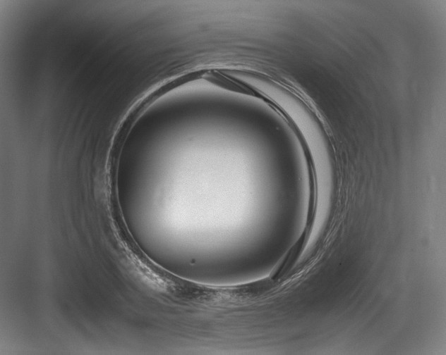 X0000083660787200702121215