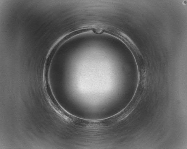 X0000083660788200702121215