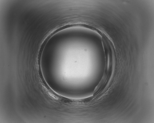 X0000083660789200702121215