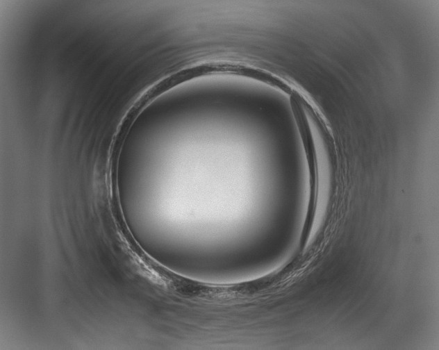 X0000083660791200702121215