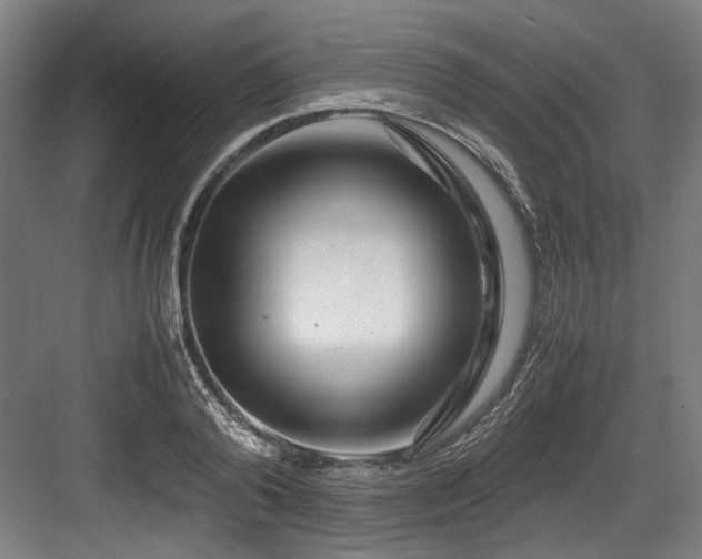 X0000083660792200702121215