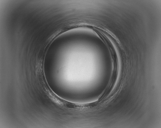 X0000083660793200702121215