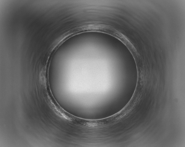 X0000083660794200702121214