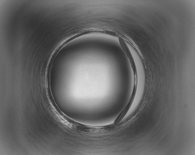 X0000083660795200702121214
