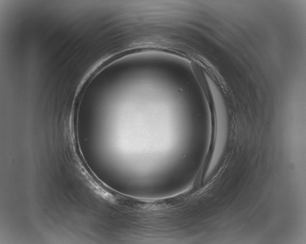 X0000083660796200702121214
