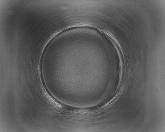 X0000083660797200702121214