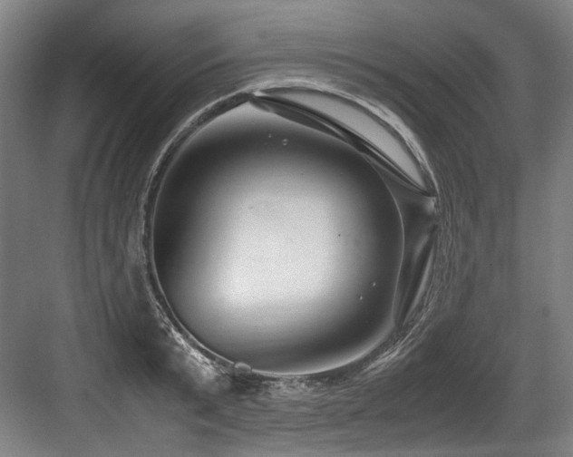 X0000083660799200702121214