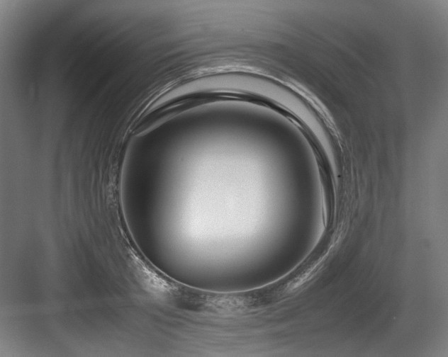 X0000083660801200702121214