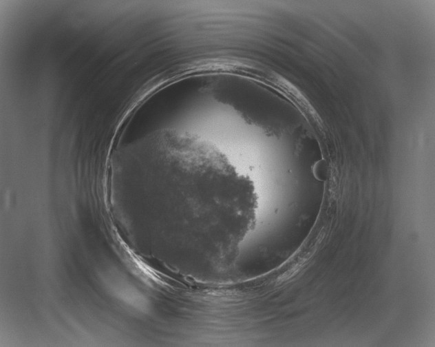 X0000083660802200702121214