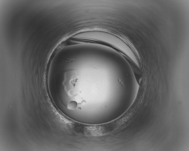 X0000083660805200702121214