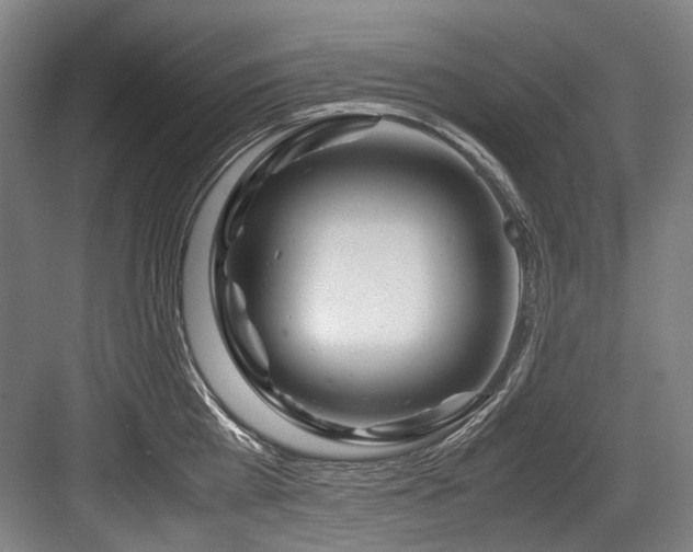 X0000083660809200702121214