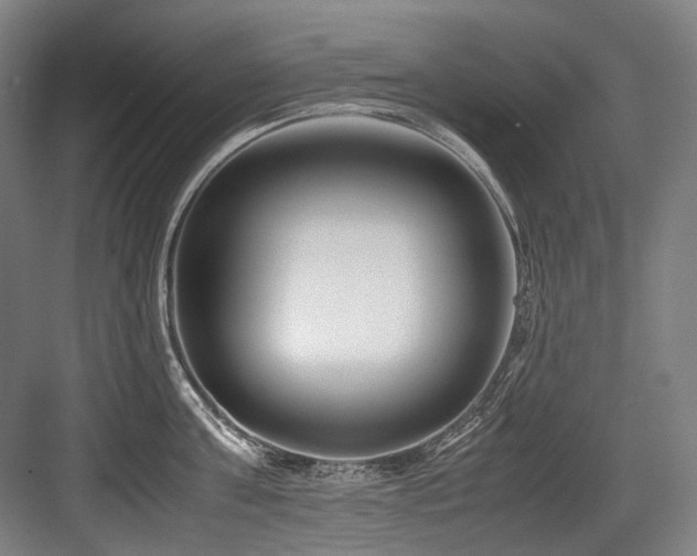 X0000083660811200702121214