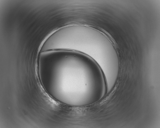 X0000083660812200702121214