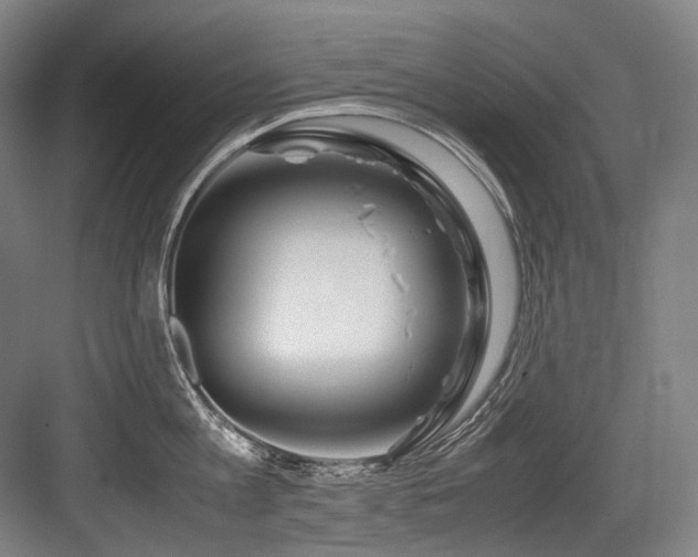 X0000083660813200702121214