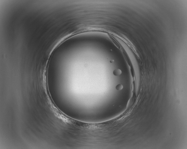 X0000083660814200702121214