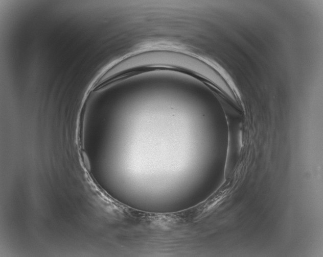 X0000083660815200702121214