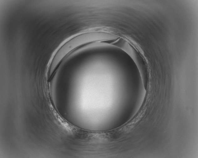 X0000083660816200702121214