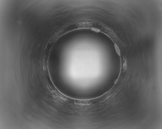 X0000083660819200702121213