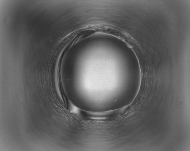 X0000083660822200702121213