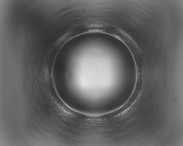 X0000083660825200702121213