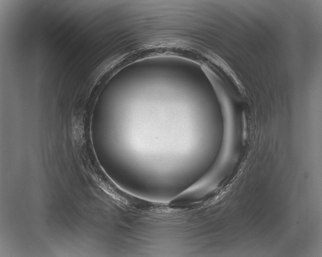 X0000083660826200702121213