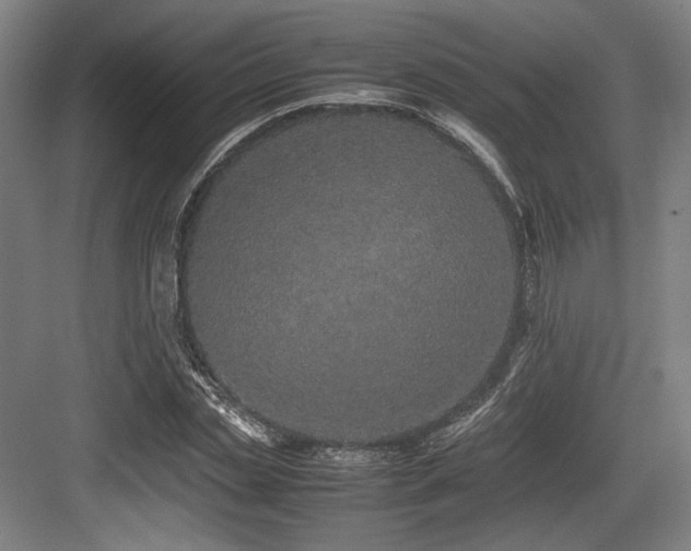 X0000083660829200702121214