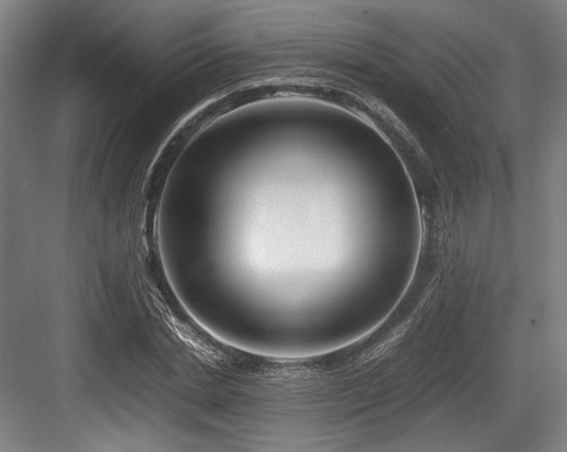 X0000083660830200702121214