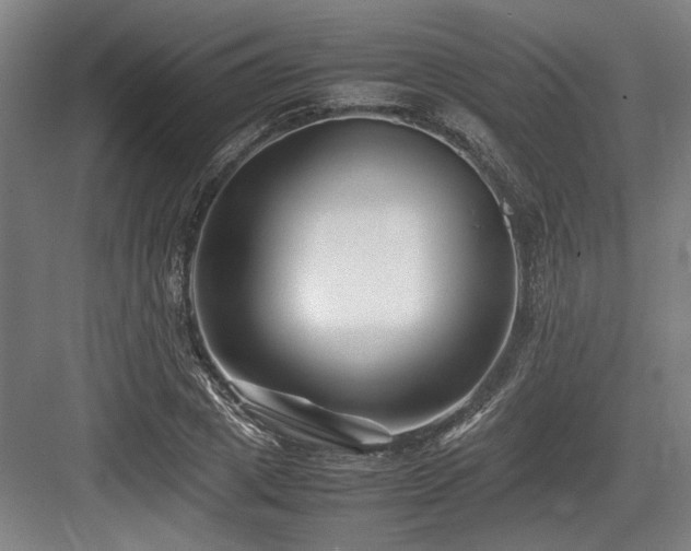 X0000083660833200702121214