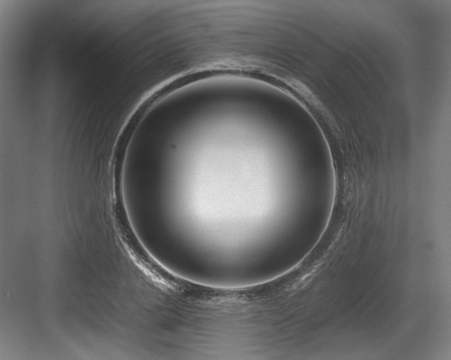 X0000083660838200702121214