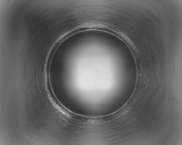 X0000083660840200702121214