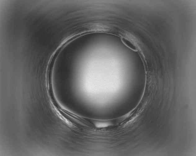 X0000083660843200702121214