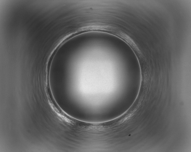 X0000083660844200702121214
