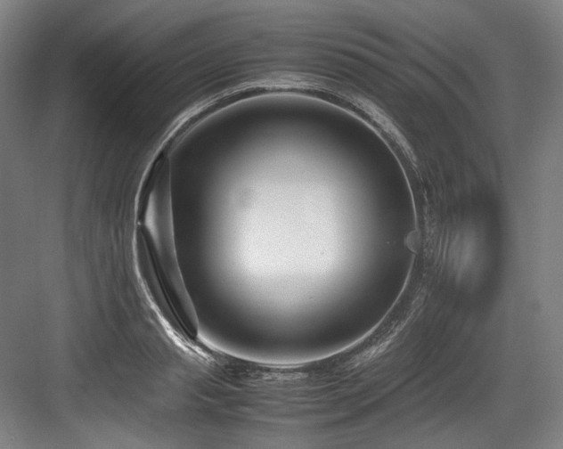 X0000083660845200702121214