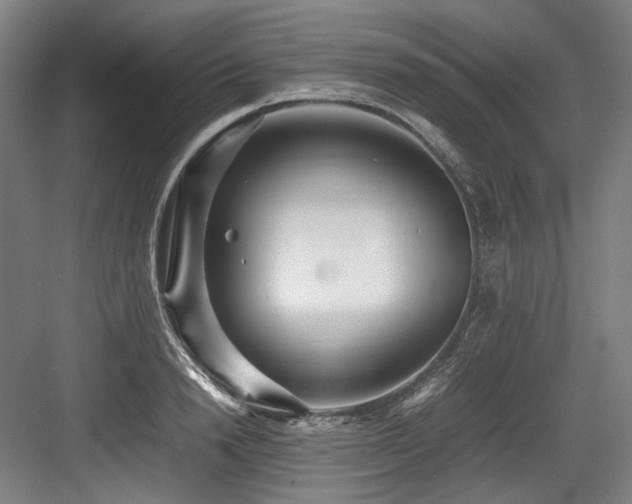 X0000083660846200702121214