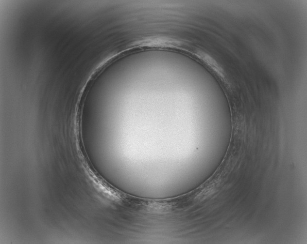 X0000083660848200702121214