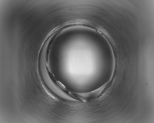 X0000083660850200702121214