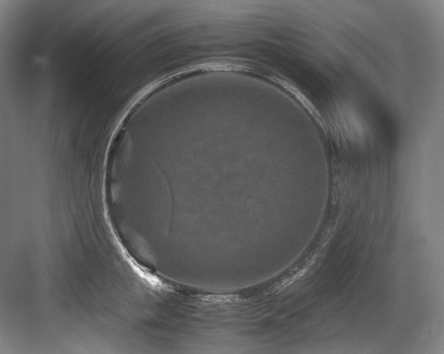 X0000083660853200702121214