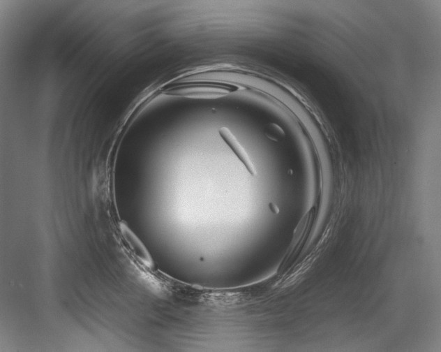 X0000083660858200702121214
