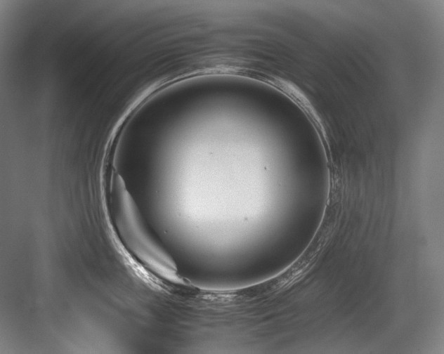 X0000083660859200702121214