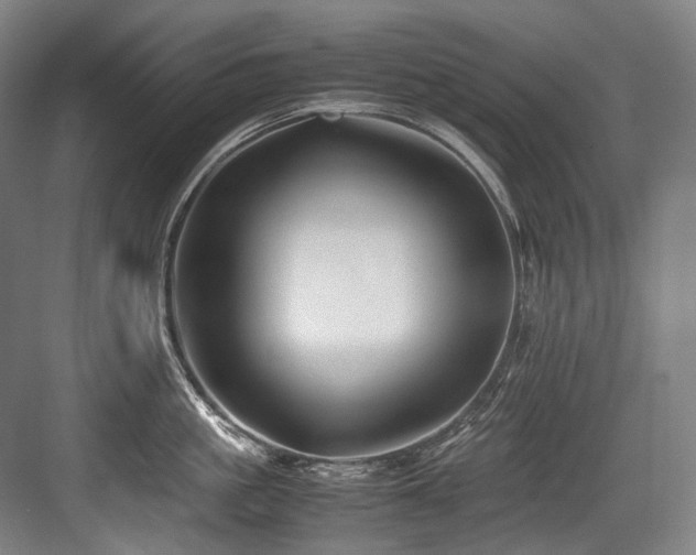 X0000083660861200702121214