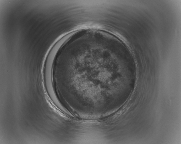 X0000083660864200702121214