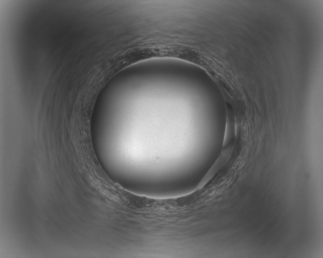 X0000083660865200702121213