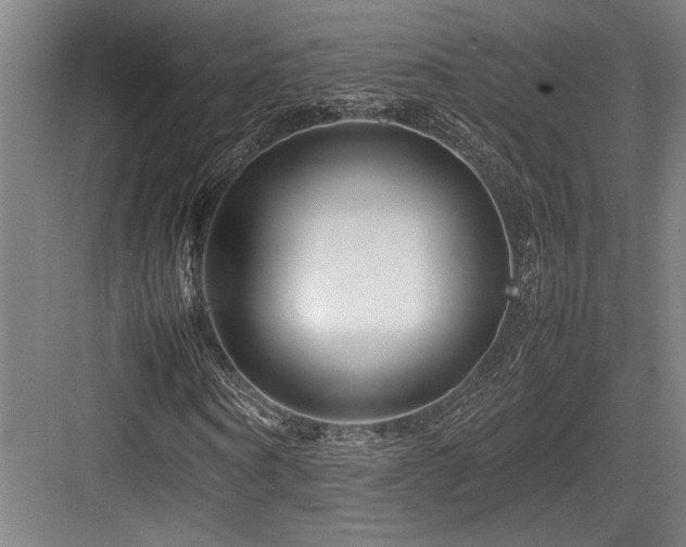 X0000083660866200702121213