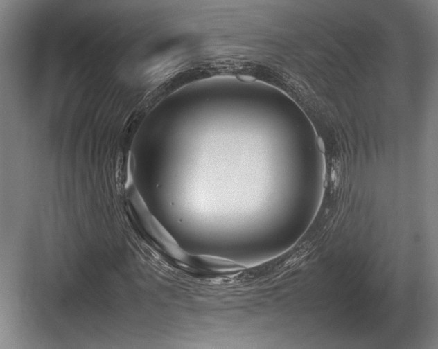 X0000083660867200702121213