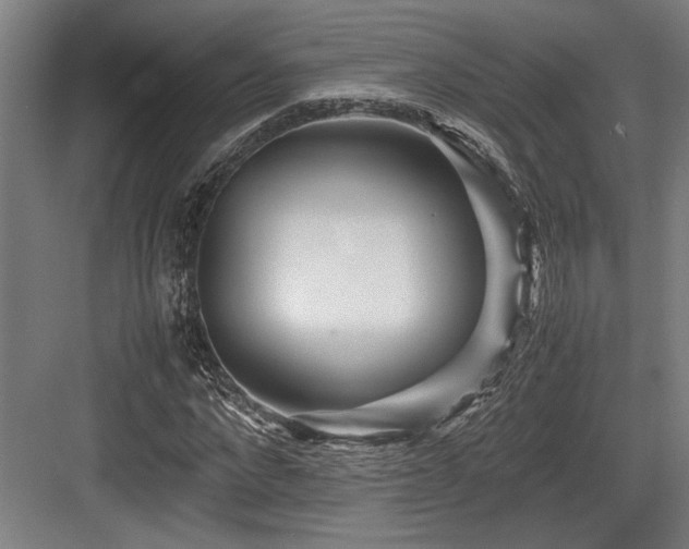 X0000083660872200702121213