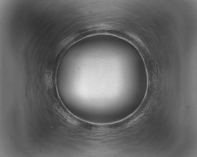 X0000083660873200702121213