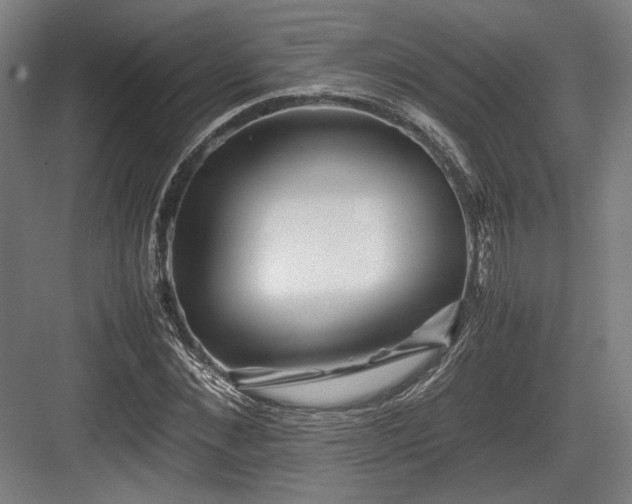 X0000083660876200702121213