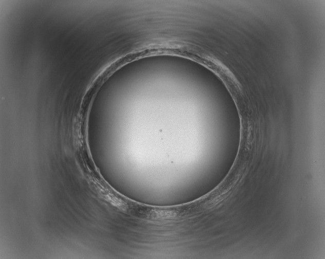 X0000083660878200702121213
